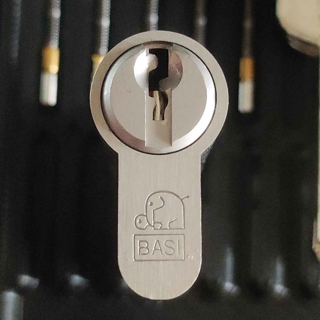 BASI V50